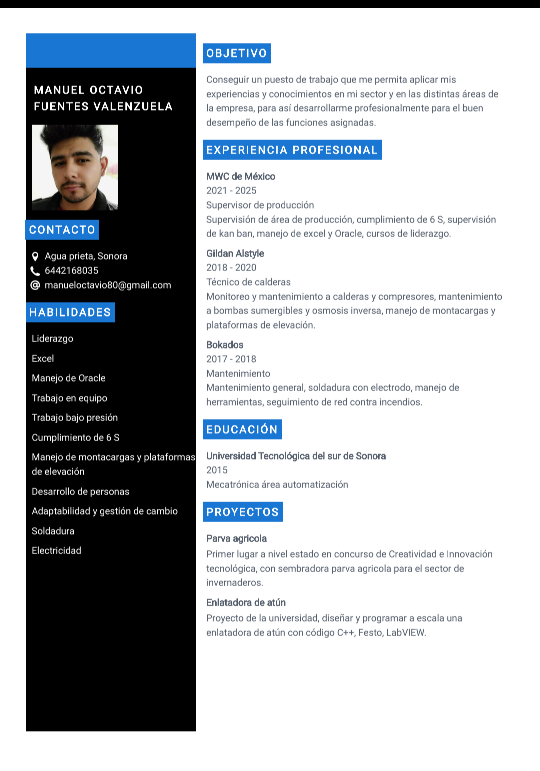 Técnico en Mecatrónica 